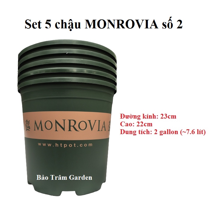 Set 5 chậu nhựa trồng cây cao cấp Monrovia cỡ số 2