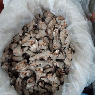 100g tam thất khô loại 9 củ