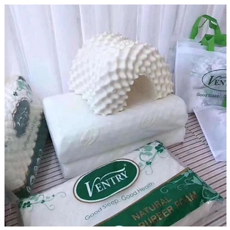 Gối cao su non Ventry chống ngáy ngủ, Gối cao su tự nhiên, Chống đau mỏi vai gáy, Mềm min êm ái,