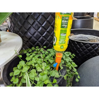 Vòi tưới cây nhỏ giọt tự động gắn chai nhựa tiện dụng