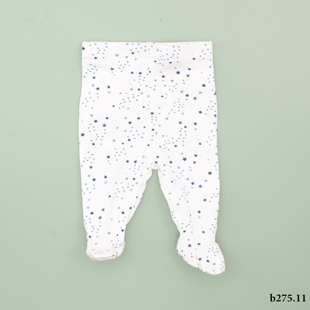 Quần liền bàn thu đông cotton mềm mại màu sắc nhẹ nhàng thời trang COLORISTA