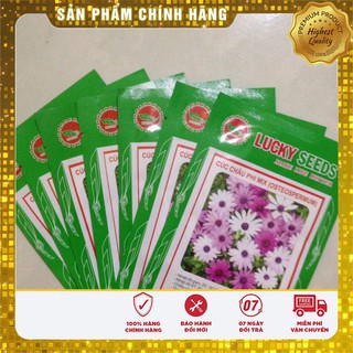 Hạt Giống Hoa Cúc Châu Phi(20 hạt)
