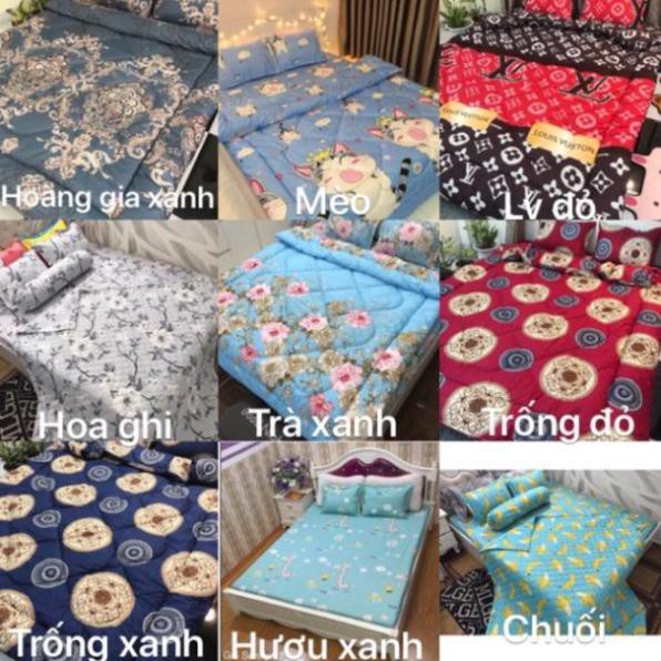 Bộ 1 Ga chun và 2 vỏ gối Cotton poly, chat chọn mẫu.