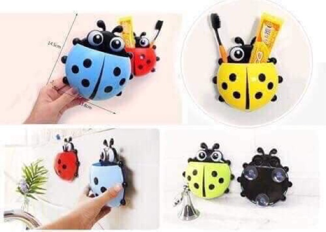 BỌ RÙA VÀ RÙA ĐỰNG BÀN CHẢI VÀ KEM ĐÁNH RĂNG .