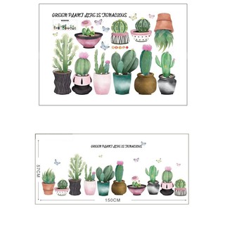 decal dán tường xương rồng