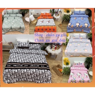 Sét chăn phao ga gối cotton poly bộ 5 món