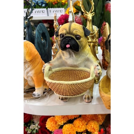 Bộ Sưu tập tượng giỏ chó Bull