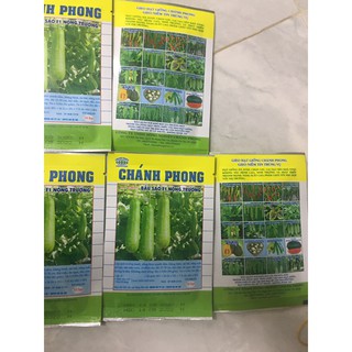 Hạt giống BẦU SAO F1 Chánh phong Gói 20 hạt