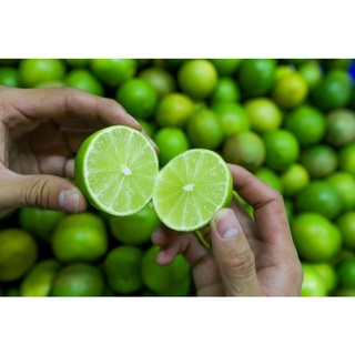 CÂY GIỐNG CHANH KHÔNG HẠT