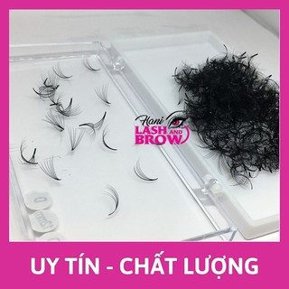 Mi Fan 4D LMFT Hani chân keo nhỏ - Lông Mi Lành Tính ,Dễ Bắt Keo _Lông Mi Fan Tay Sẵn Hani Lash HỘP 500 FAN