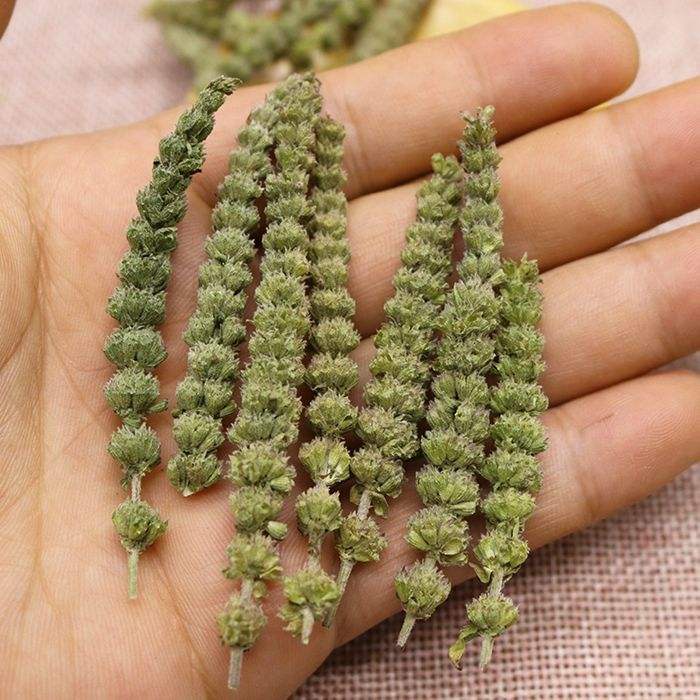Kinh Giới Tuệ  khô 100 gram.