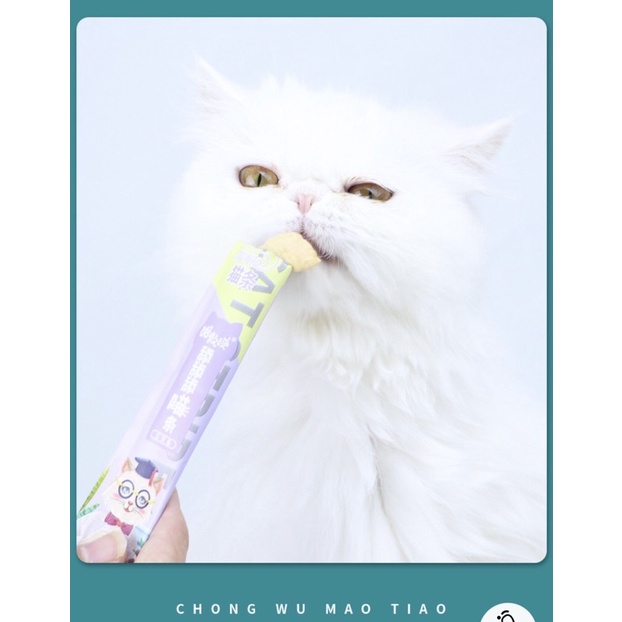 QUE GEL DINH DƯỠNG CHO THÚ CƯNG 3 VỊ