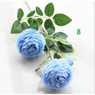 Hoa hồng kép