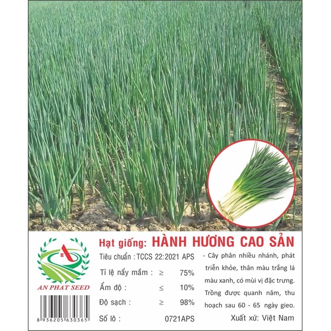 Combo 2 Gói hạt giống hành hương cao sản, sinh trưởng khoẻ, năng suất cao