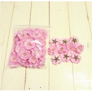 HOA ĐÀO BÔNG RỜI ĐÓNG GÓI 50 BÔNG