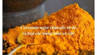 COMBO 3 NANOCURCUMIN TẶNG 1