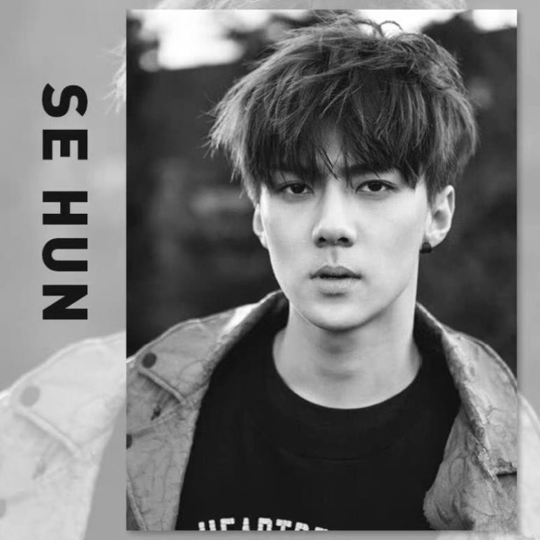 [Order]Tranh tô màu theo số sơn dầu số hóa Oh Sehun EXO