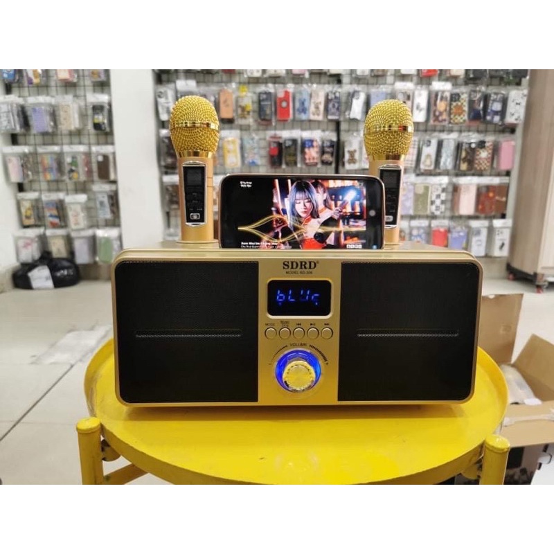 Loa Bluetooth Mini Karaoke SDRD SD-309 , Bản Cao Cấp Chất Lượng, Kèm 2 Micro Sạc Không Dây