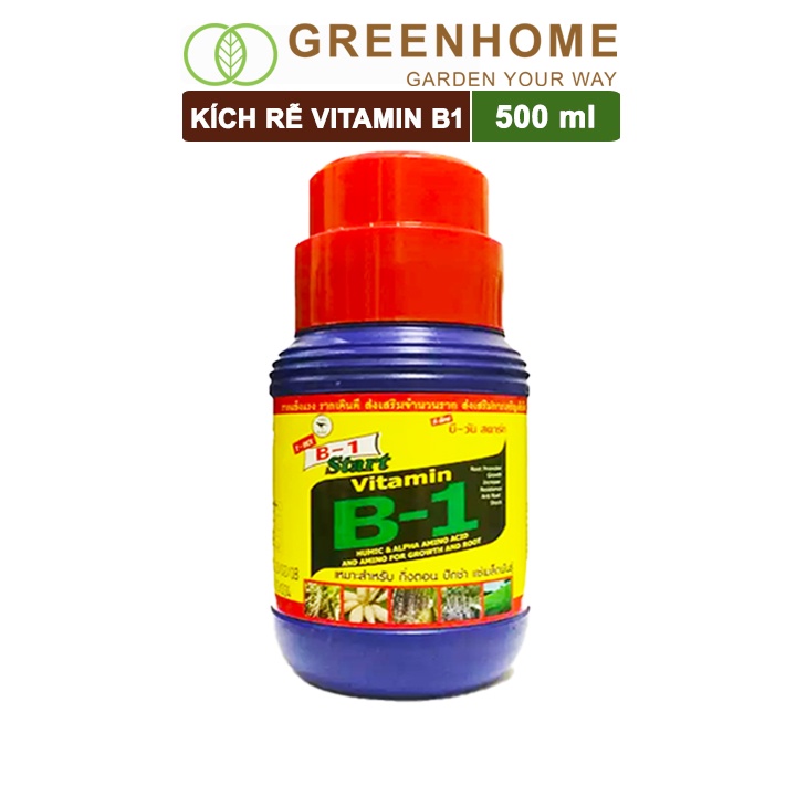 Phân kích rễ Vitamin B1, chai 500ml, Thái Lan, tạo mầm, rễ khoẻ, sai hoa |Greenhome