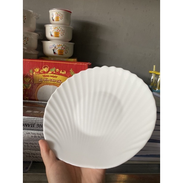 ĐĨA HÌNH SÒ MEN NGỌC - LUMINARC