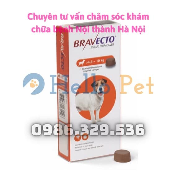 [BRAVECTO] - Sản phẩm dành cho chó