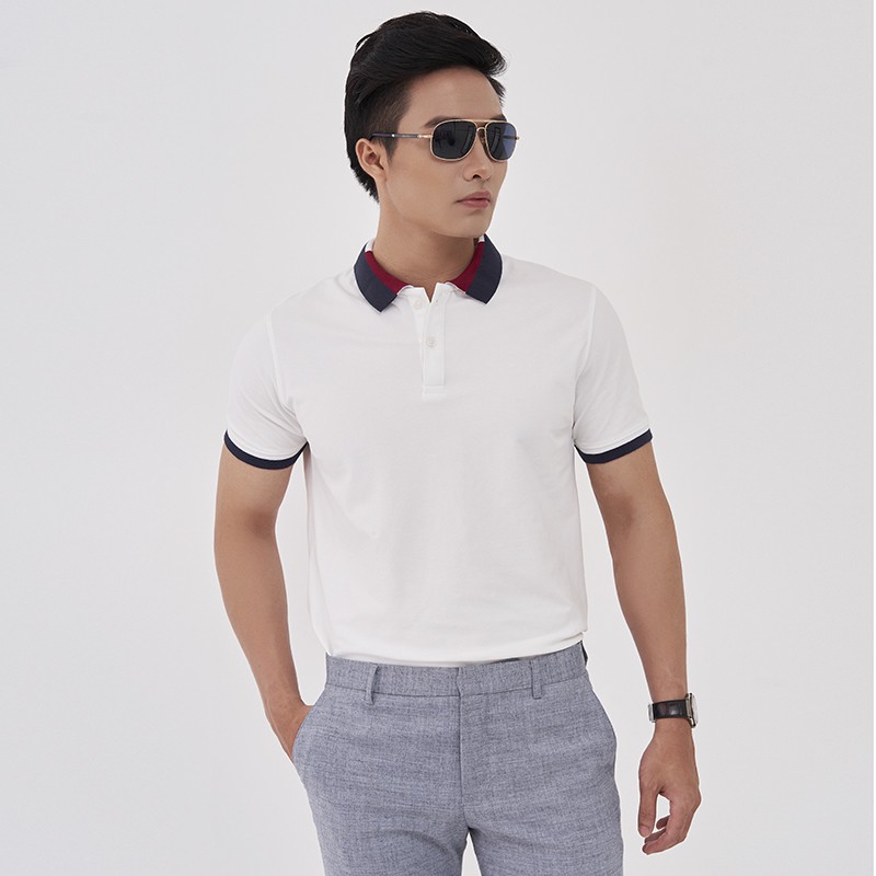 Áo Polo Nam Có Cổ, Kiểu Viền, Chất Cotton 100% - Sợi Đan 40 Cao Cấp, Áo Phông Nam Venisce | BigBuy360 - bigbuy360.vn