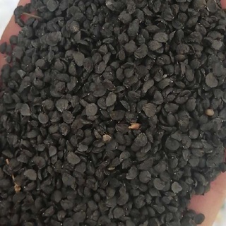 Cửu Tử ( Hạt Hẹ ) khô sạch 100 gram.