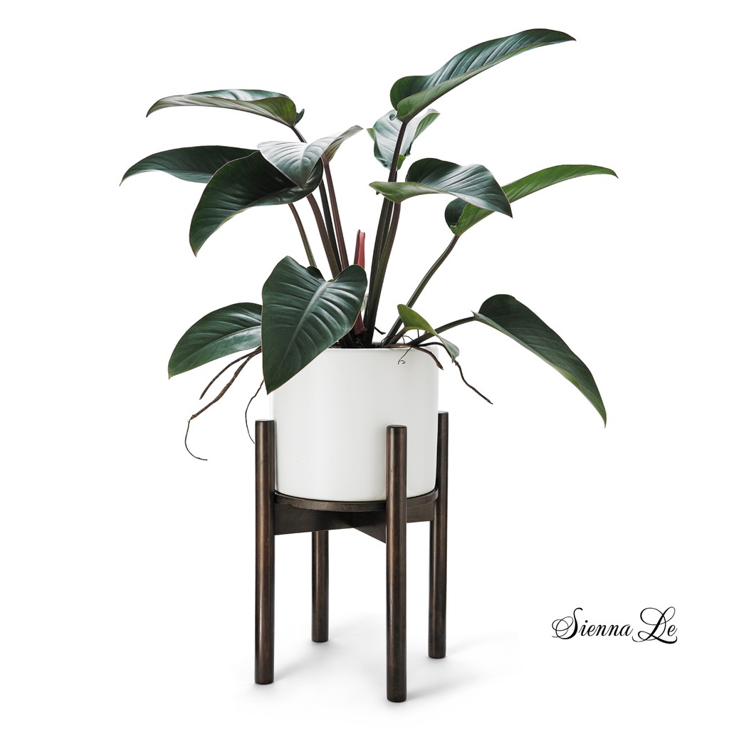 Chân Giá Đỡ Chậu Hoa Gỗ Cao Su Phong Cách Mid Century - Cao 40.6cm x Rộng 32.8cm - Phù Hợp Chậu Hoa Có Đường Kính 26.7cm
