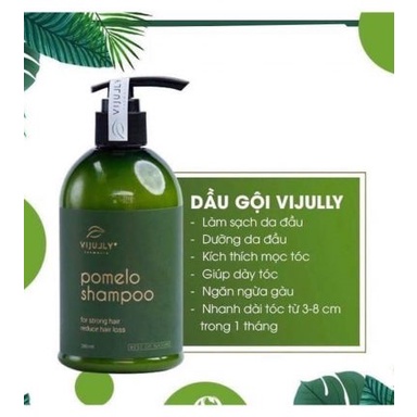 Dầu Gội Vijully pomelo shampoo for strong hair reduce hair loss phục hồi hư tổn tóc 280ml best of nature