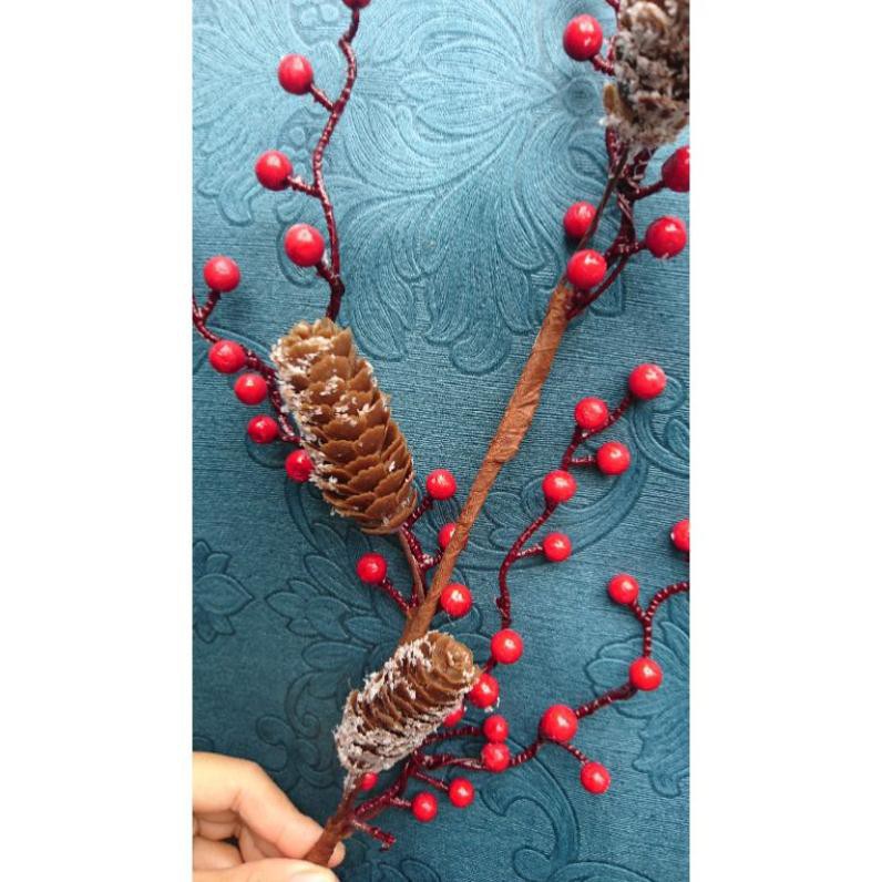 cành cherry mix quả thông