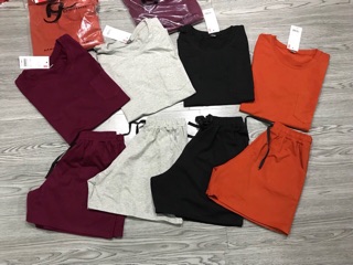 Bộ đùi cotton