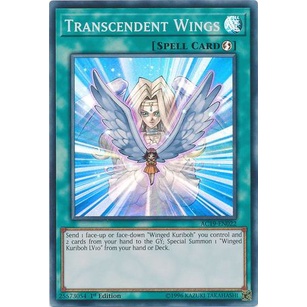 Thẻ bài Yugioh - TCG - Transcendent Wings / AC19-EN022'