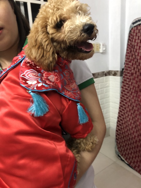 VÁY TẾT THÊU CHO BÉ