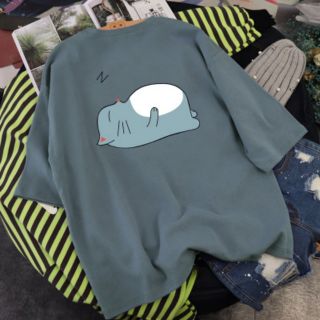 Áo thun unisex bigsize form rộng