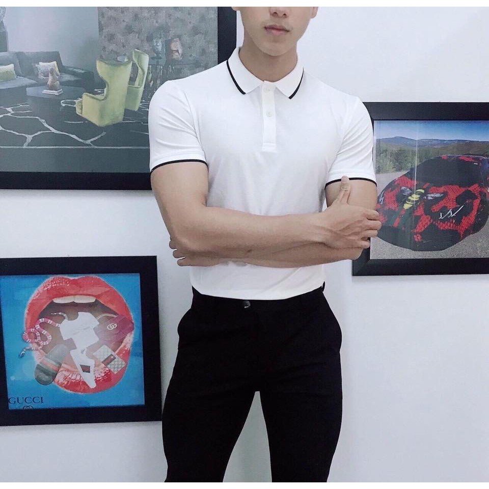 [HÀNG CAO CẤP] Áo phông nam cổ bẻ ,chất cotton mát,co giãn tốt | BigBuy360 - bigbuy360.vn