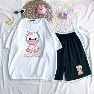 Set bộ bò sữa hình thật 100%