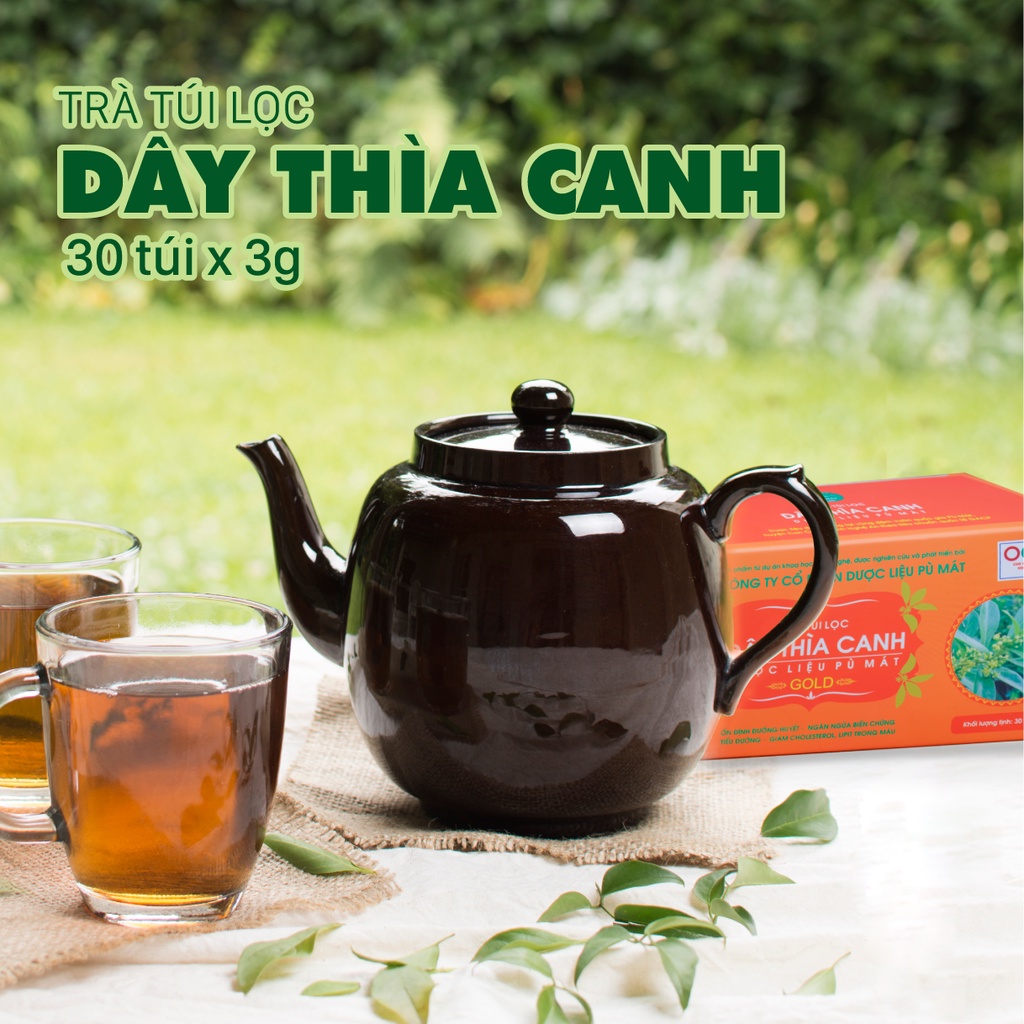 Trà túi lọc Dây Thìa Canh Dược liệu Pù Mát hỗ trợ người tiểu đường 90g