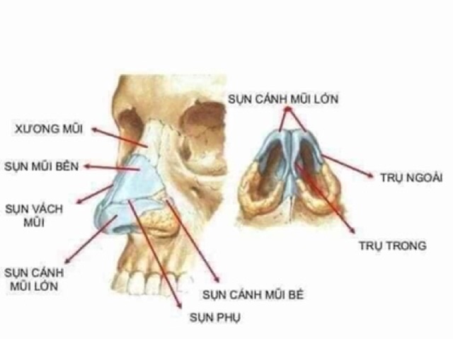 Thảo Dược Cao Sóng Mũi Đậm Đặc TẶNG son Kiều + serum