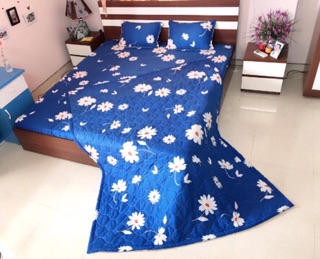 Sét 5 ga gối poly cotton