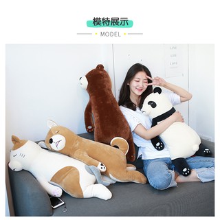 Gấu lười ngủ ngày
