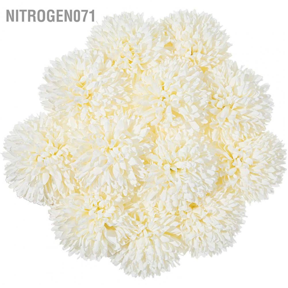 Nitrogen071 Hoa bồ công anh siêu xinh trang trí , décor chụp ảnh sản phẩm ( hoa giả hoa nhựa ) - 1 cành 1 bông, có ảnh thật