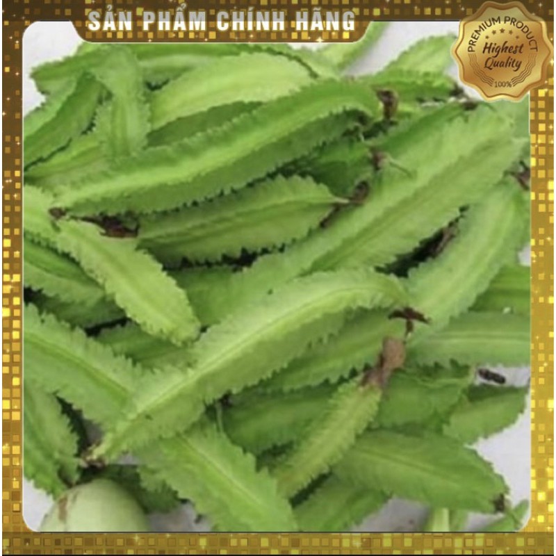 Hạt giống đậu rồng Rado 02