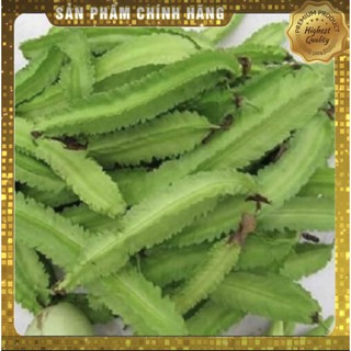 [Nảy mầm tốt] Hạt giống đậu rồng Rado 02