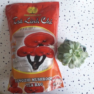 Trà linh chi túi lọc