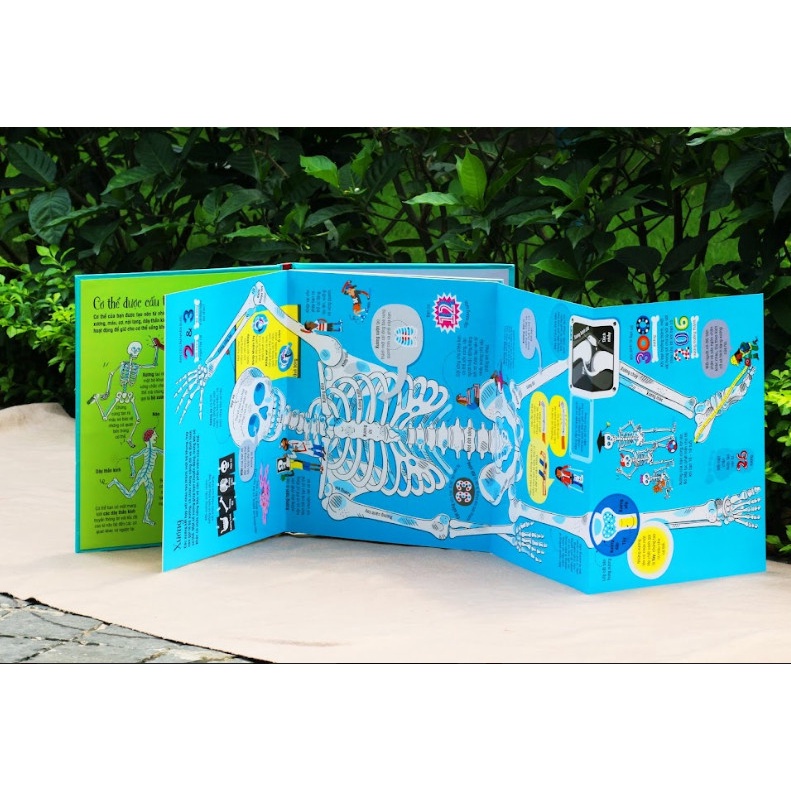 Sách Tương Tác - Big Book - Cuốn Sách Khổng Lồ - Nhiều Chủ Đề