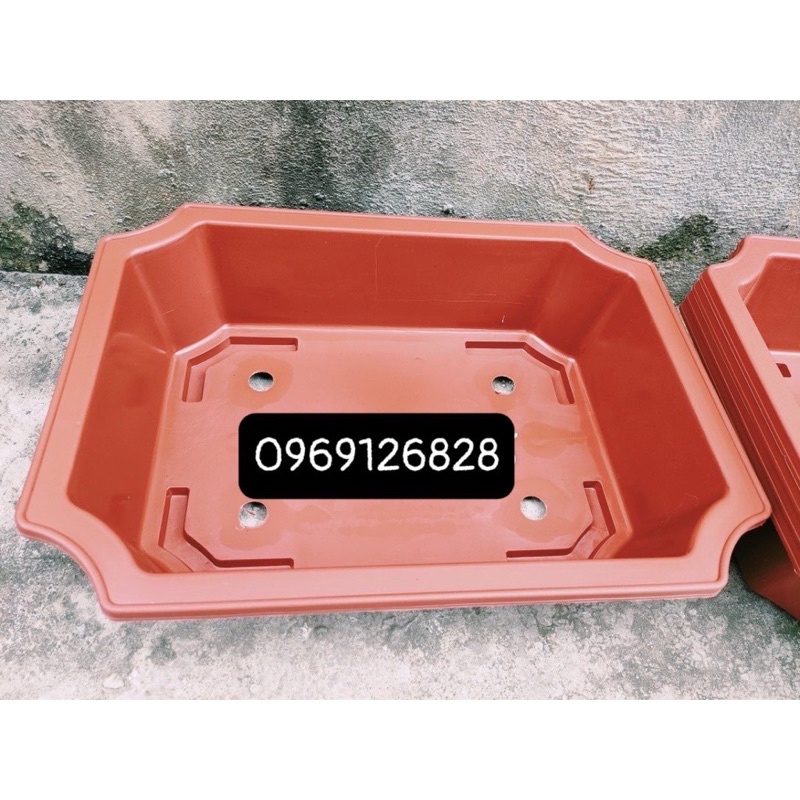 Ang nhựa trồng cây bonsai đủ kích thước