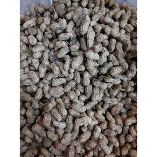 Củ LẠC TƯƠI (SỐNG 1 KG )