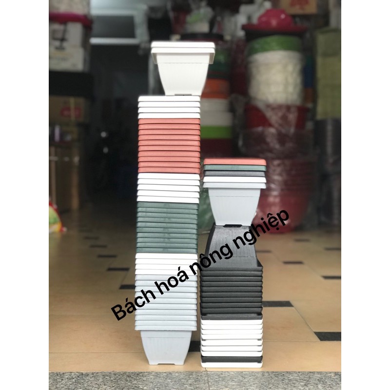 Combo 5 chậu nhựa vuông size 13cmx10cm