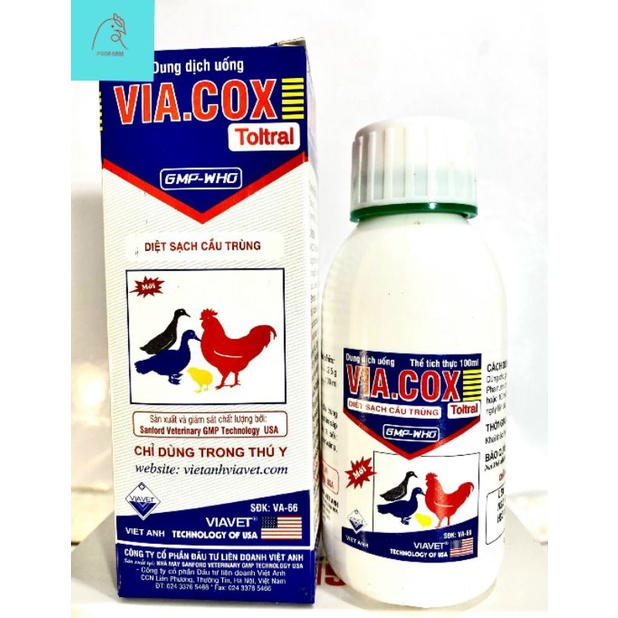 Chính Hãng Via Cox(100ml) Cầu-Trung ruột-Non, Manh trang sản phẩm công ty Việt Anh