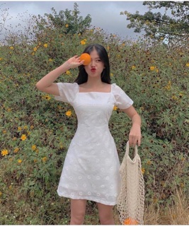 Đầm Trắng Hoa Cúc